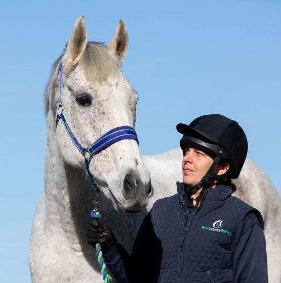 World Horse Welfare Hall Farm