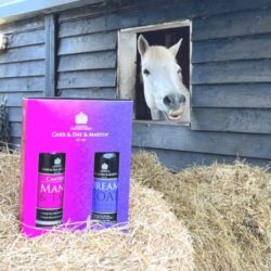 The Ultimate Grooming Duo