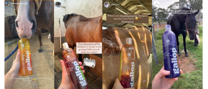 Gallop Colour Enhancing Shampoo Testimonials