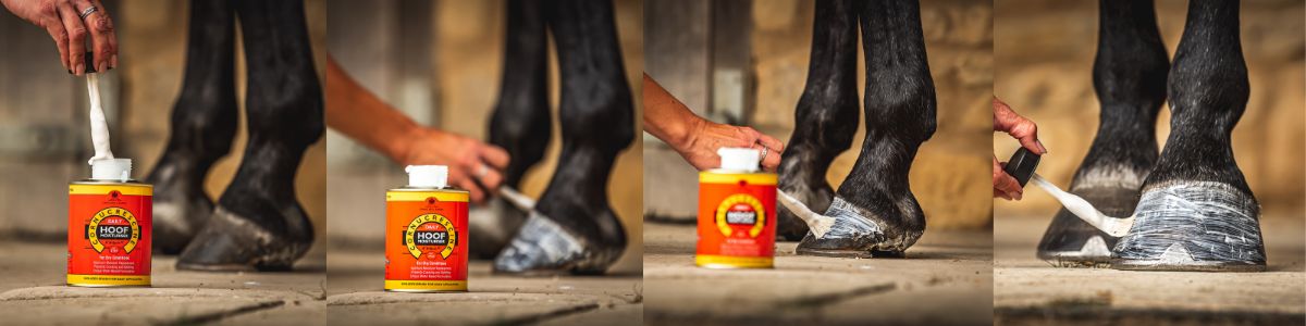 Hoof Moisturiser healthy hooves