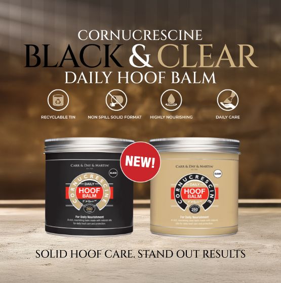 Hoof Balms for horses