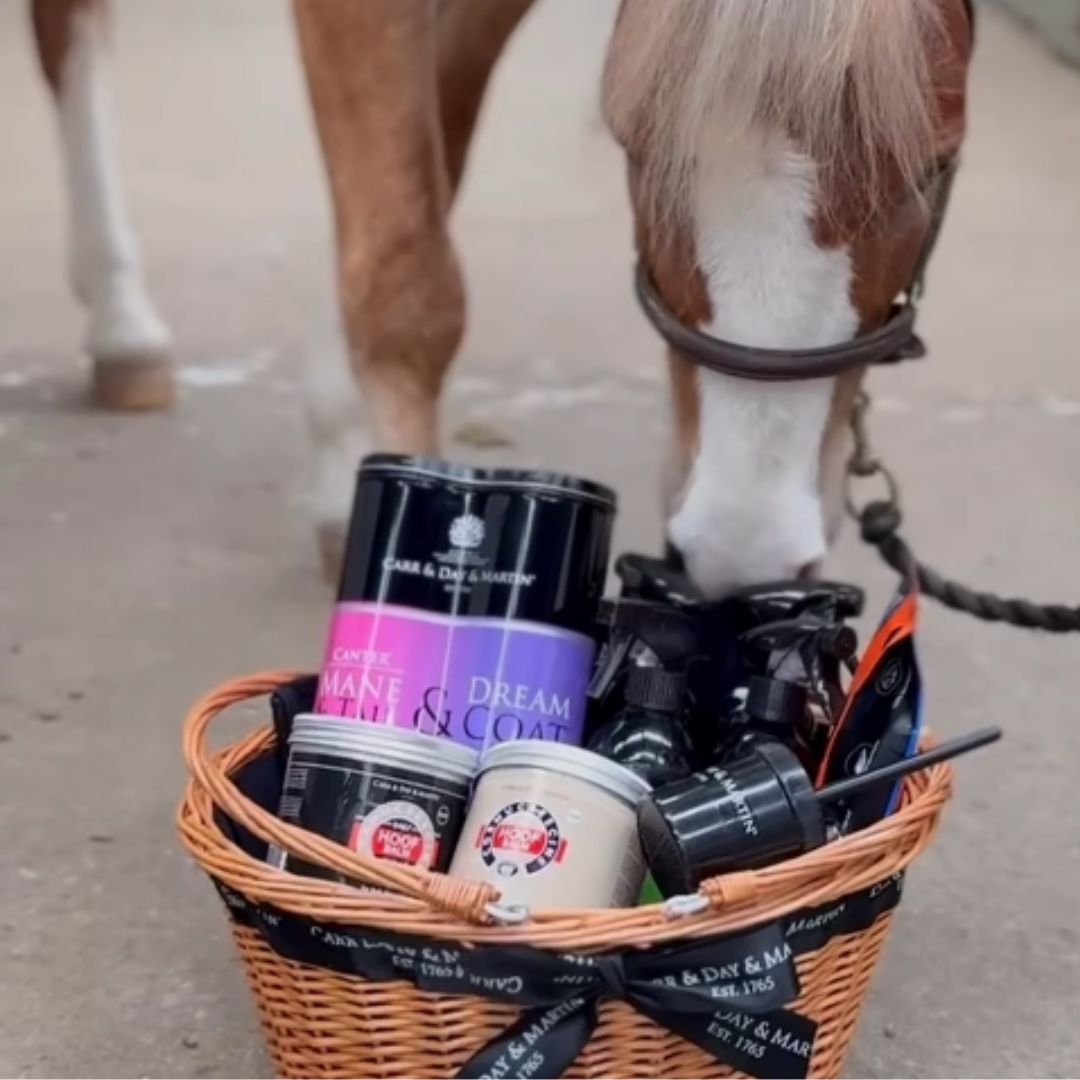 Best grooming products for horses
